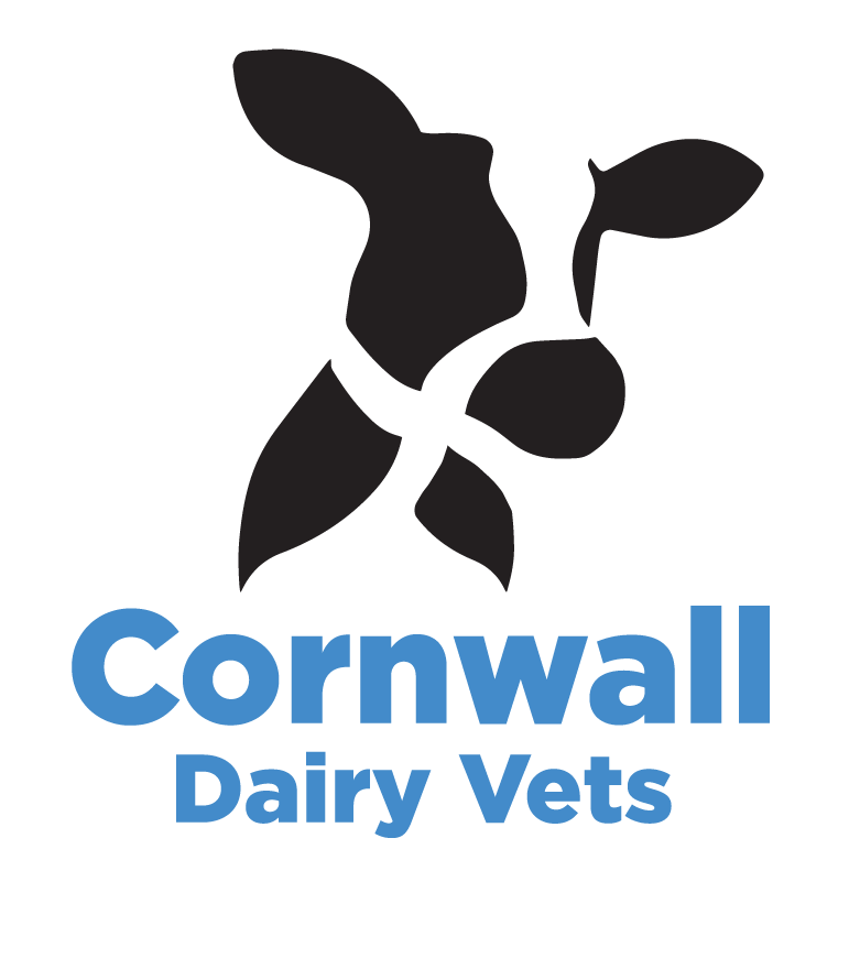 257_Cornwall-Dairy-Vets-Logo-Concepts