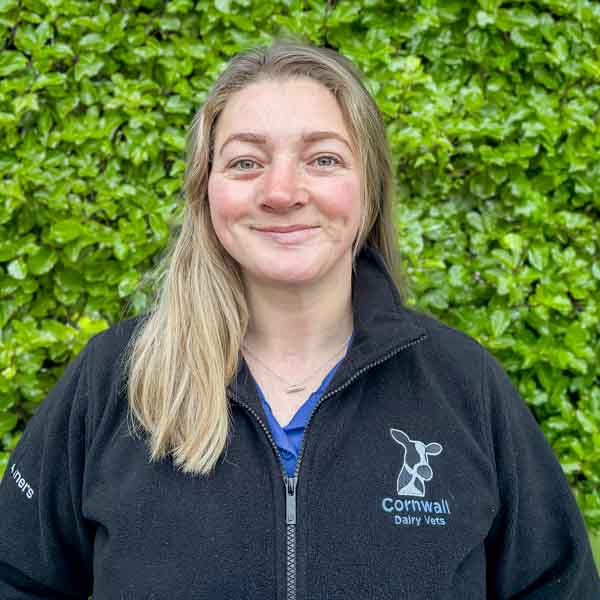 - Cornwall Dairy Vets (Web)-3