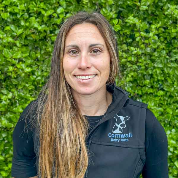 - Cornwall Dairy Vets (Web)
